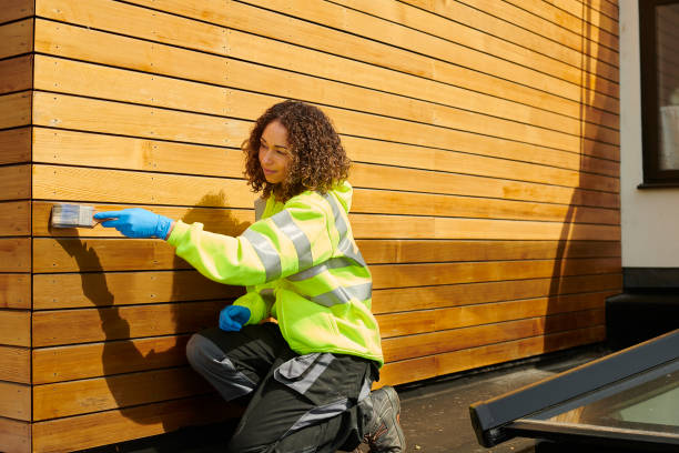 Best Custom Siding Design  in Blackhawk, SD